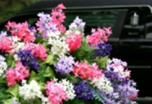 Servicii Funerare Complete pe Zona Valenii de Munte - Slanic Prahova - Dramir Dorion Serv S.R.L.